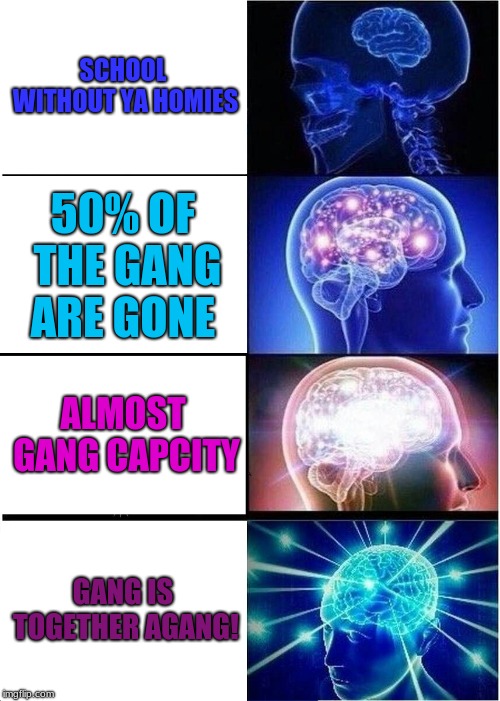 Expanding Brain Meme | SCHOOL WITHOUT YA HOMIES; 50% OF THE GANG ARE GONE; ALMOST GANG CAPCITY; GANG IS TOGETHER AGANG! | image tagged in memes,expanding brain | made w/ Imgflip meme maker