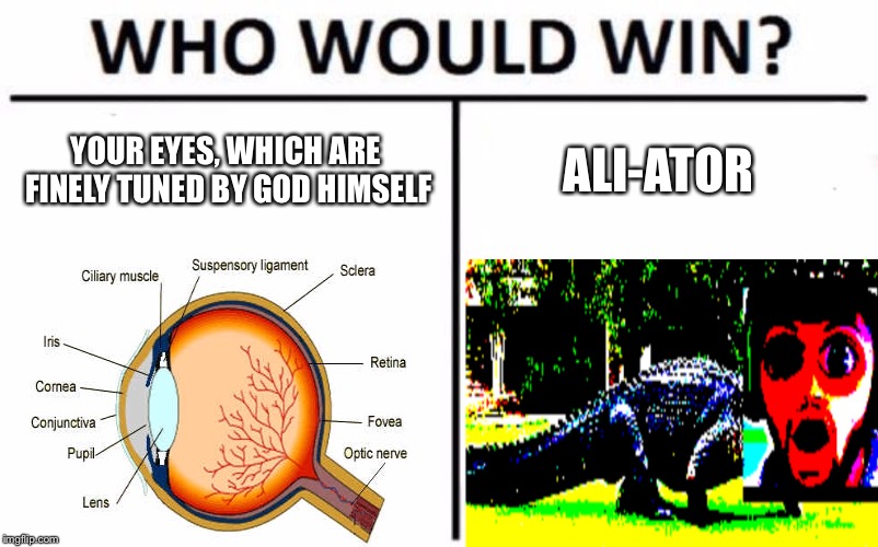 Who Would Win? Meme | YOUR EYES, WHICH ARE FINELY TUNED BY GOD HIMSELF; ALI-ATOR | image tagged in memes,who would win | made w/ Imgflip meme maker