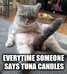 EVERYTIME SOMEONE SAYS TUNA CANDLES | made w/ Imgflip meme maker