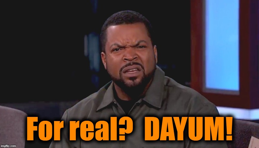 Really? Ice Cube | For real?  DAYUM! | image tagged in really ice cube | made w/ Imgflip meme maker