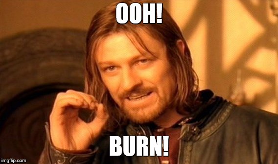 One Does Not Simply Meme | OOH! BURN! | image tagged in memes,one does not simply | made w/ Imgflip meme maker