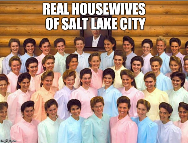 Real Houswives | REAL HOUSEWIVES OF SALT LAKE CITY | image tagged in funny | made w/ Imgflip meme maker