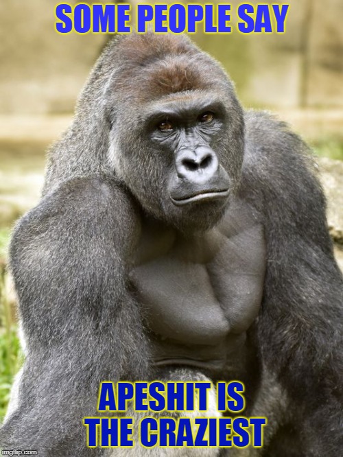 Harambe | SOME PEOPLE SAY APESHIT IS THE CRAZIEST | image tagged in harambe | made w/ Imgflip meme maker