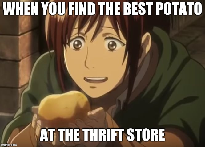 WHEN YOU FIND THE BEST POTATO; AT THE THRIFT STORE | image tagged in when you | made w/ Imgflip meme maker