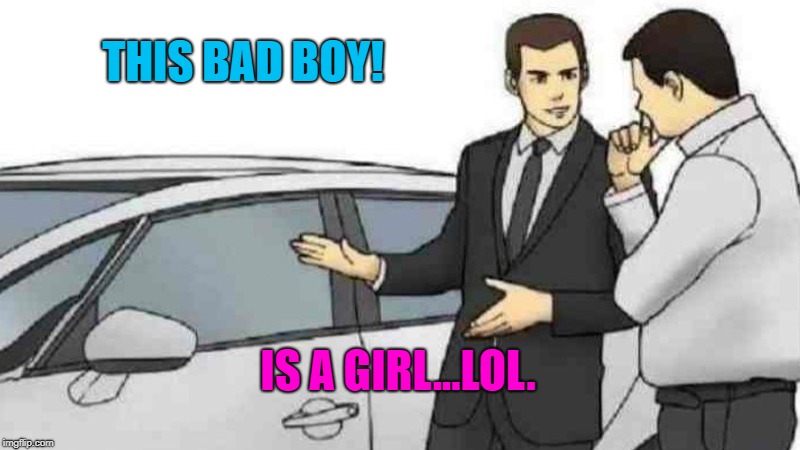 Car Salesman Slaps Roof Of Car Meme | THIS BAD BOY! IS A GIRL...LOL. | image tagged in memes,car salesman slaps roof of car | made w/ Imgflip meme maker