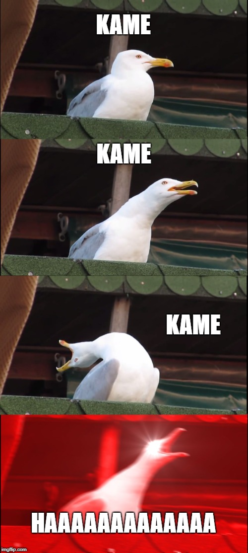 Inhaling Seagull | KAME; KAME; KAME; HAAAAAAAAAAAAA | image tagged in memes,inhaling seagull | made w/ Imgflip meme maker