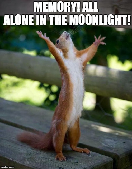 Happy Squirrel | MEMORY! ALL ALONE IN THE MOONLIGHT! | image tagged in happy squirrel | made w/ Imgflip meme maker
