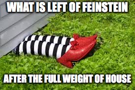 Full weight of house | WHAT IS LEFT OF FEINSTEIN; AFTER THE FULL WEIGHT OF HOUSE | image tagged in feinstein,ruby slippers,oz,witch | made w/ Imgflip meme maker