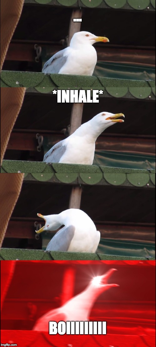Inhaling Seagull Meme | ... *INHALE*; BOIIIIIIIII | image tagged in memes,inhaling seagull | made w/ Imgflip meme maker