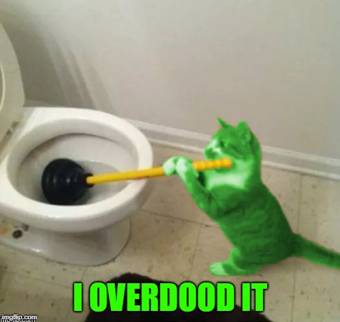 RayCat's toilet | I OVERDOOD IT | image tagged in raycat's toilet | made w/ Imgflip meme maker