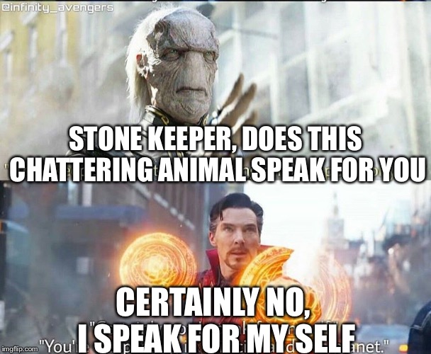 infinity war | STONE KEEPER, DOES THIS CHATTERING ANIMAL SPEAK FOR YOU; CERTAINLY NO, I SPEAK FOR MY SELF | image tagged in dr strange | made w/ Imgflip meme maker