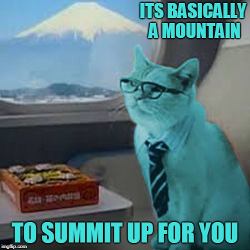 This is hill areas | ITS BASICALLY A MOUNTAIN; TO SUMMIT UP FOR YOU | image tagged in raycat on fuji train,memes | made w/ Imgflip meme maker