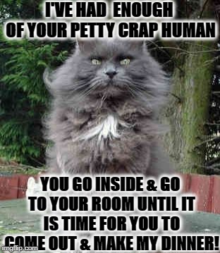 I'VE HAD  ENOUGH OF YOUR PETTY CRAP HUMAN; YOU GO INSIDE & GO TO YOUR ROOM UNTIL IT IS TIME FOR YOU TO COME OUT & MAKE MY DINNER! | image tagged in the boss | made w/ Imgflip meme maker