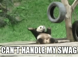 dance panda