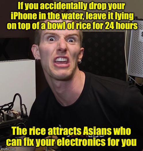 Tech Tip of the day | If you accidentally drop your iPhone in the water, leave it lying on top of a bowl of rice for 24 hours; The rice attracts Asians who can fix your electronics for you | image tagged in linus tech tips,memes,tips | made w/ Imgflip meme maker