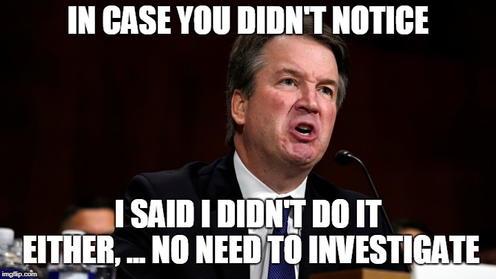 Brett Kavanaugh is Angry | IN CASE YOU DIDN'T NOTICE I SAID I DIDN'T DO IT EITHER, ... NO NEED TO INVESTIGATE | image tagged in brett kavanaugh is angry | made w/ Imgflip meme maker