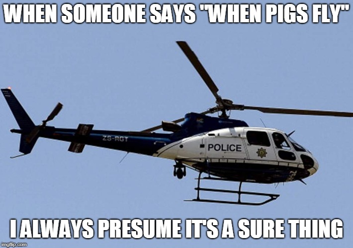 cops |  WHEN SOMEONE SAYS "WHEN PIGS FLY"; I ALWAYS PRESUME IT'S A SURE THING | image tagged in cops | made w/ Imgflip meme maker