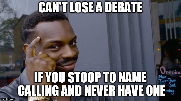 Roll Safe Think About It Meme | CAN'T LOSE A DEBATE IF YOU STOOP TO NAME CALLING AND NEVER HAVE ONE | image tagged in memes,roll safe think about it | made w/ Imgflip meme maker