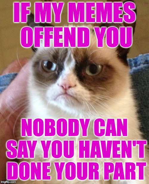 When you think about it, you have the most important job | IF MY MEMES OFFEND YOU; NOBODY CAN SAY YOU HAVEN'T DONE YOUR PART | image tagged in memes,grumpy cat,offended,do your job | made w/ Imgflip meme maker