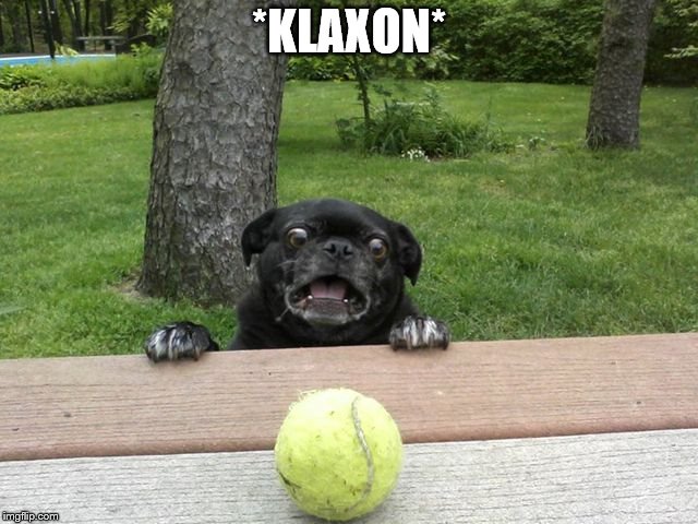 Pug Tennis Ball | *KLAXON* | image tagged in pug tennis ball | made w/ Imgflip meme maker