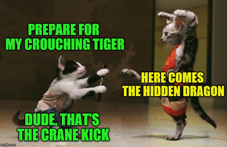 Too many dang moves to remember | PREPARE FOR MY CROUCHING TIGER; HERE COMES THE HIDDEN DRAGON; DUDE, THAT'S THE CRANE KICK | image tagged in memes,crouching tiger,hidden dragon,crane kick,karate kid | made w/ Imgflip meme maker