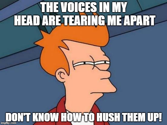Futurama Fry Meme | THE VOICES IN MY HEAD ARE TEARING ME APART; DON'T KNOW HOW TO HUSH THEM UP! | image tagged in memes,futurama fry | made w/ Imgflip meme maker
