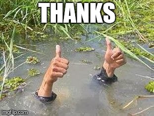FLOODING THUMBS UP | THANKS | image tagged in flooding thumbs up | made w/ Imgflip meme maker