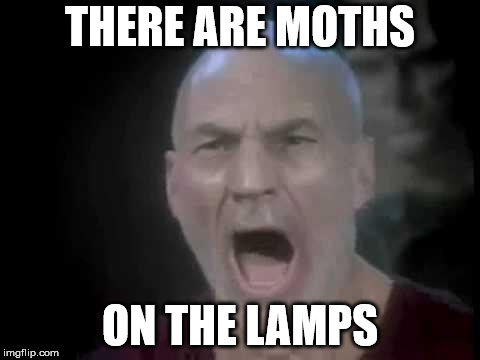 Picards four lights have moths on them now. | THERE ARE MOTHS; ON THE LAMPS | image tagged in picard four lights,moth,lamp,i love lamp | made w/ Imgflip meme maker