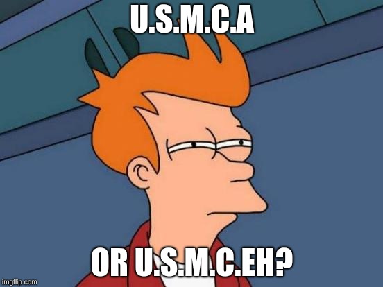 Futurama Fry | U.S.M.C.A; OR U.S.M.C.EH? | image tagged in memes,futurama fry | made w/ Imgflip meme maker