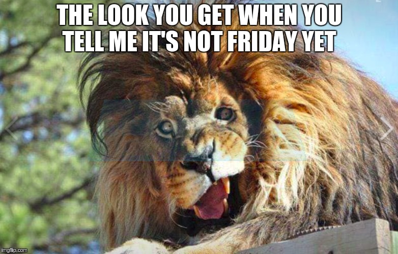 The look you get | THE LOOK YOU GET WHEN YOU TELL ME IT'S NOT FRIDAY YET | image tagged in funny memes | made w/ Imgflip meme maker