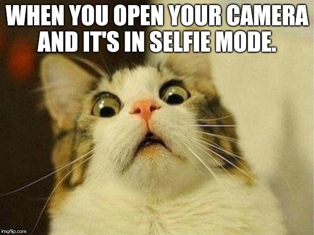 Scared Cat Meme | WHEN YOU OPEN YOUR CAMERA AND IT'S IN SELFIE MODE. | image tagged in memes,scared cat | made w/ Imgflip meme maker