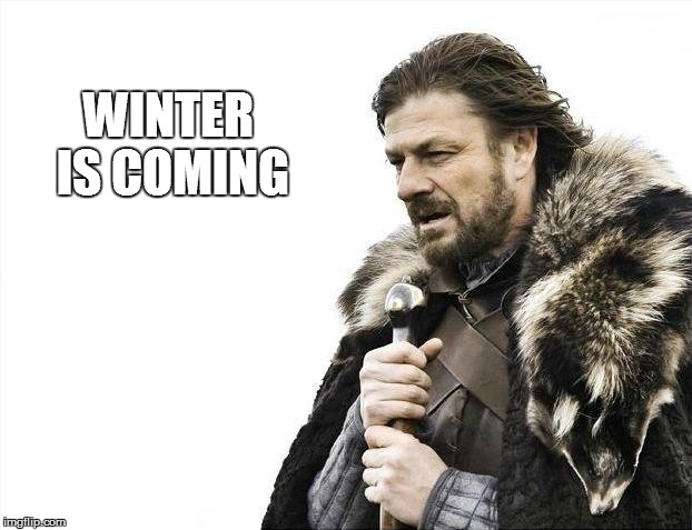 Brace Yourselves X is Coming Meme | WINTER IS COMING | image tagged in memes,brace yourselves x is coming | made w/ Imgflip meme maker