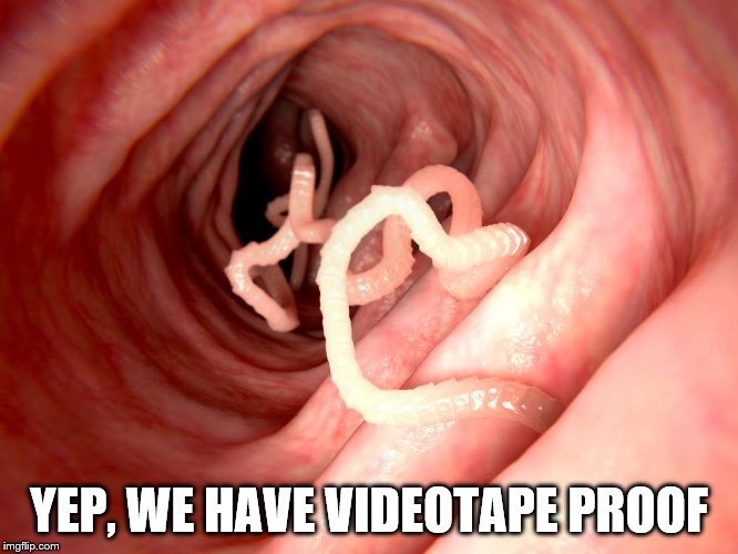 YEP, WE HAVE VIDEOTAPE PROOF | made w/ Imgflip meme maker