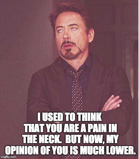 Face You Make Robert Downey Jr | I USED TO THINK THAT YOU ARE A PAIN IN THE NECK.  BUT NOW, MY OPINION OF YOU IS MUCH LOWER. | image tagged in memes,face you make robert downey jr | made w/ Imgflip meme maker