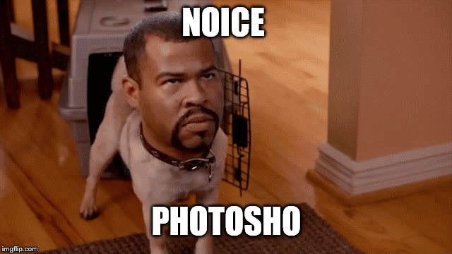 Noice | NOICE PHOTOSHOP | image tagged in noice | made w/ Imgflip meme maker
