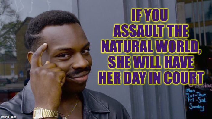 Roll Safe Think About It Meme | IF YOU ASSAULT THE NATURAL WORLD, SHE WILL HAVE HER DAY IN COURT | image tagged in memes,roll safe think about it,don't do the crime | made w/ Imgflip meme maker