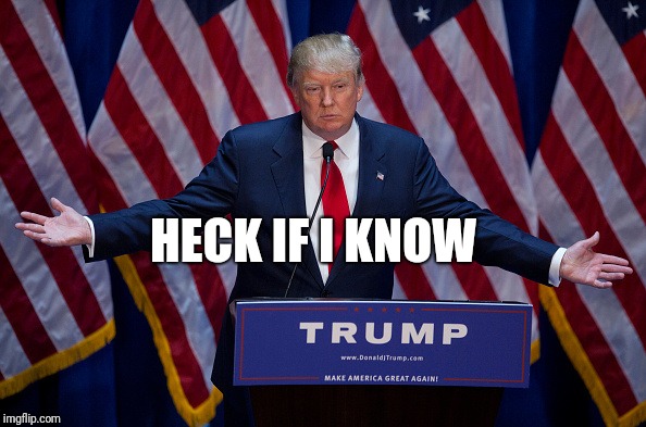 Donald Trump | HECK IF I KNOW | image tagged in donald trump | made w/ Imgflip meme maker