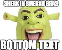 SHERK IN SMERSH BRAS; BOTTOM TEXT | image tagged in shrek | made w/ Imgflip meme maker