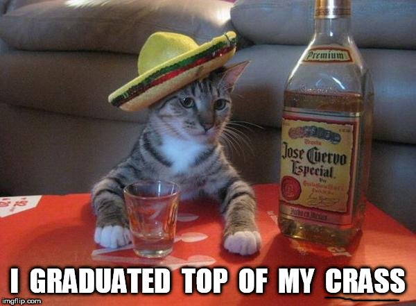 alcohol cat | I  GRADUATED  TOP  OF  MY  CRASS | image tagged in alcohol cat | made w/ Imgflip meme maker