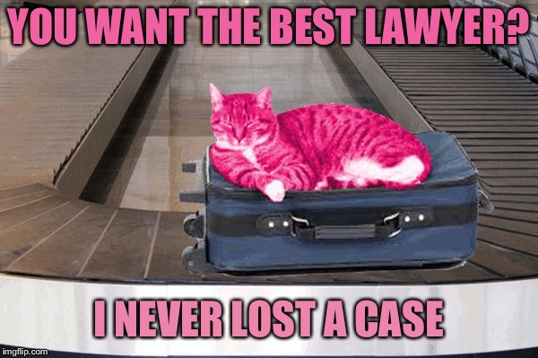 Dewey, Cheatem, and Howe | YOU WANT THE BEST LAWYER? I NEVER LOST A CASE | image tagged in raycat travelling carousel,memes | made w/ Imgflip meme maker