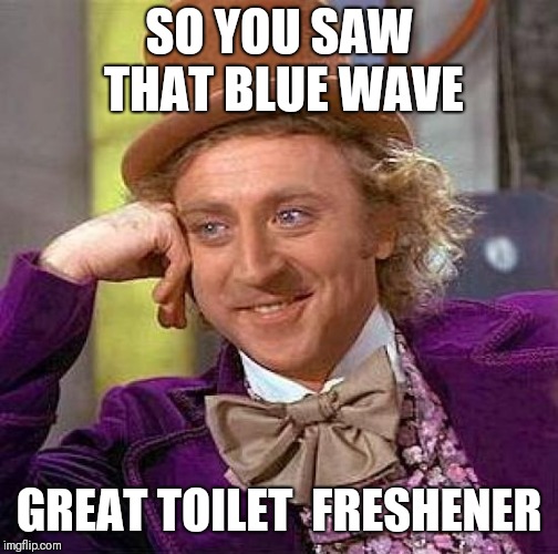 Creepy Condescending Wonka Meme | SO YOU SAW THAT BLUE WAVE; GREAT TOILET  FRESHENER | image tagged in memes,creepy condescending wonka | made w/ Imgflip meme maker