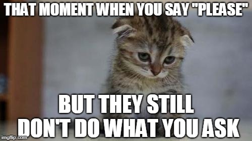 "Magic word" my butt. | THAT MOMENT WHEN YOU SAY "PLEASE"; BUT THEY STILL DON'T DO WHAT YOU ASK | image tagged in sad kitten,please,magic word | made w/ Imgflip meme maker