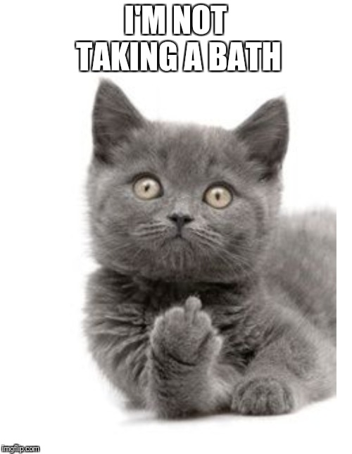 Cute Kitten | I'M NOT TAKING A BATH | image tagged in memes,funny,grumpy cat | made w/ Imgflip meme maker