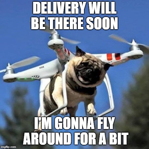 Flying Pug | DELIVERY WILL BE THERE SOON; I'M GONNA FLY AROUND FOR A BIT | image tagged in flying pug | made w/ Imgflip meme maker