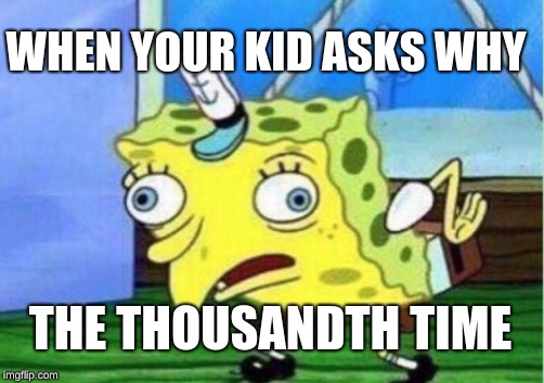 Mocking Spongebob | WHEN YOUR KID ASKS WHY; THE THOUSANDTH TIME | image tagged in memes,mocking spongebob | made w/ Imgflip meme maker