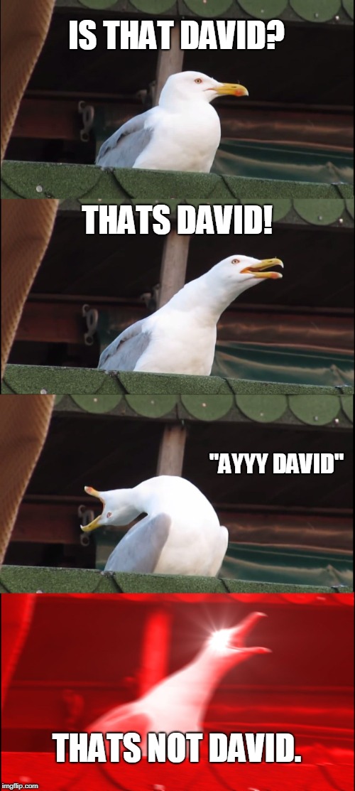 Inhaling Seagull Meme | IS THAT DAVID? THATS DAVID! "AYYY DAVID"; THATS NOT DAVID. | image tagged in memes,inhaling seagull | made w/ Imgflip meme maker