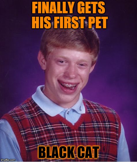 Happy Official Spooky Time Month!  | FINALLY GETS HIS FIRST PET; BLACK CAT | image tagged in memes,bad luck brian,bad luck,cat,black cat | made w/ Imgflip meme maker