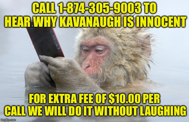 monkey cell phone | CALL 1-874-305-9003 TO HEAR WHY KAVANAUGH IS INNOCENT; FOR EXTRA FEE OF $10.00 PER CALL WE WILL DO IT WITHOUT LAUGHING | image tagged in monkey cell phone | made w/ Imgflip meme maker