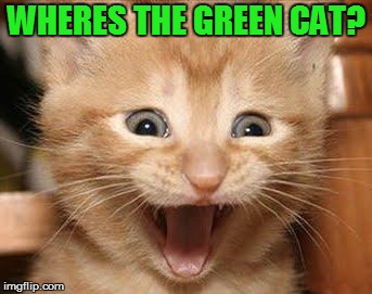 Excited Cat Meme | WHERES THE GREEN CAT? | image tagged in memes,excited cat | made w/ Imgflip meme maker