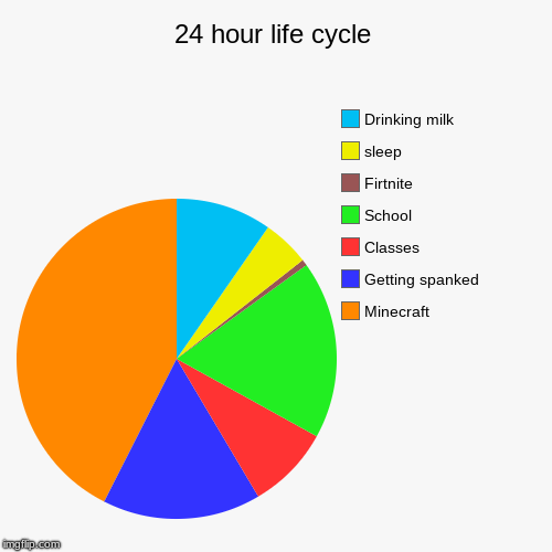 24 hour life cycle | Minecraft, Getting spanked, Classes, School, Firtnite, sleep, Drinking milk | image tagged in funny,pie charts | made w/ Imgflip chart maker